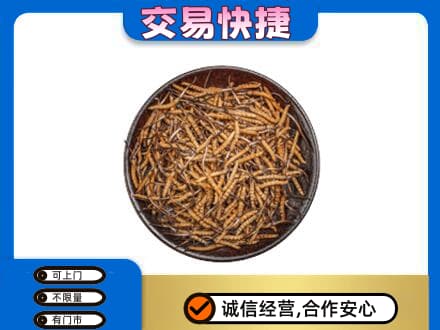 普洱市镇沅回收散虫草